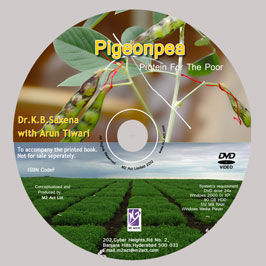 Customized CD Cover & Label Printing Green